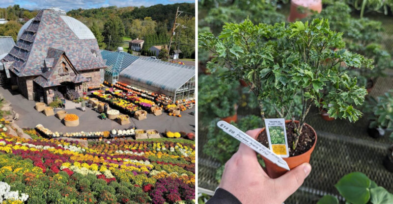 This Incredible Pennsylvania Garden Center Lets Visitors Walk Through A Towering Hill Of Flowers