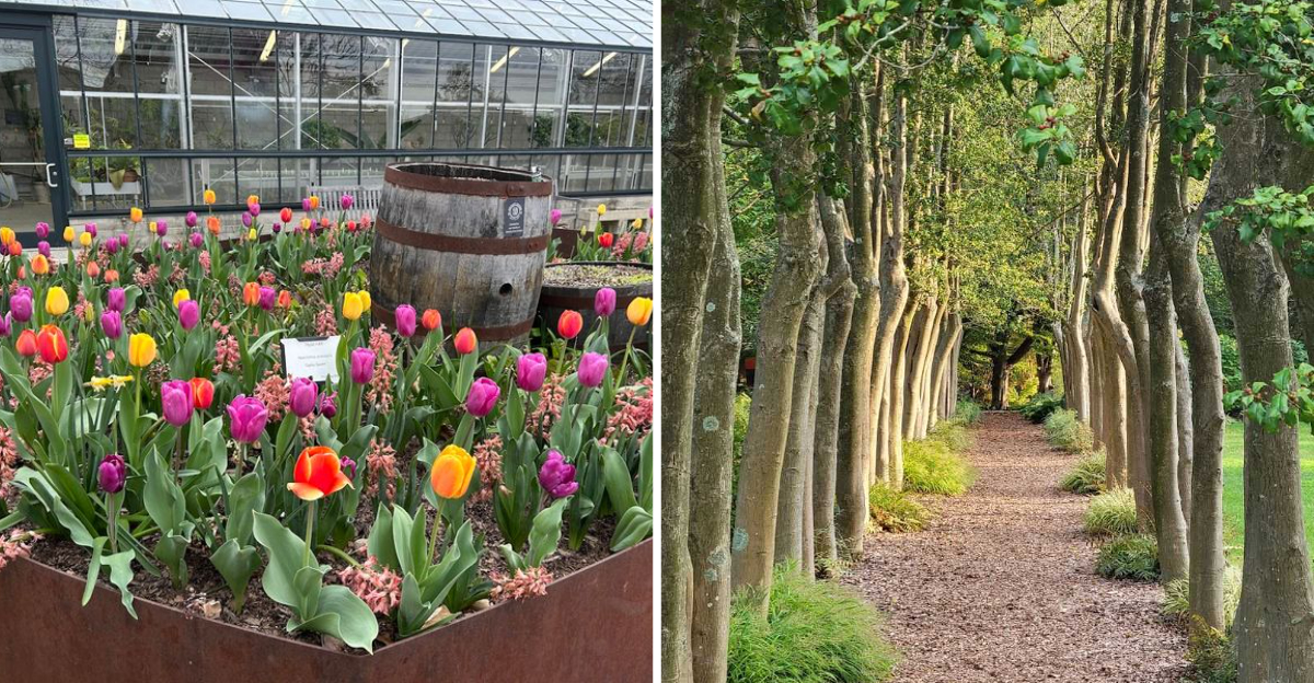 This Is The Incredible Botanical Garden In Kentucky That Most People Never Hear About - Decor Hint
