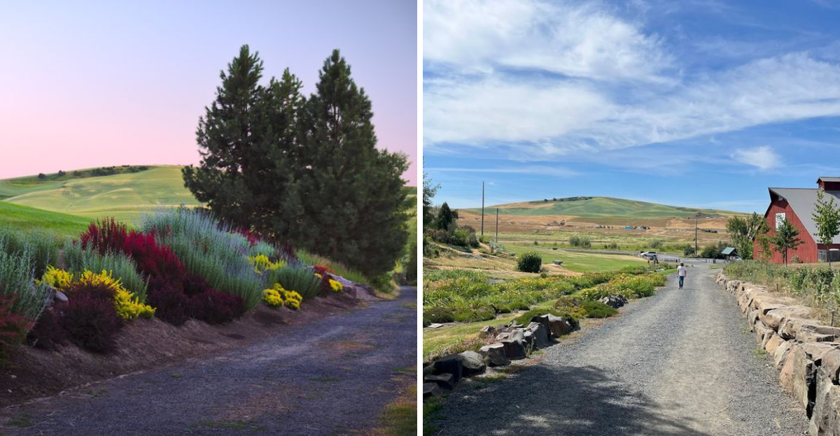 This Is The Stunning Botanical Garden In Idaho That Most People Never Hear About - Decor Hint