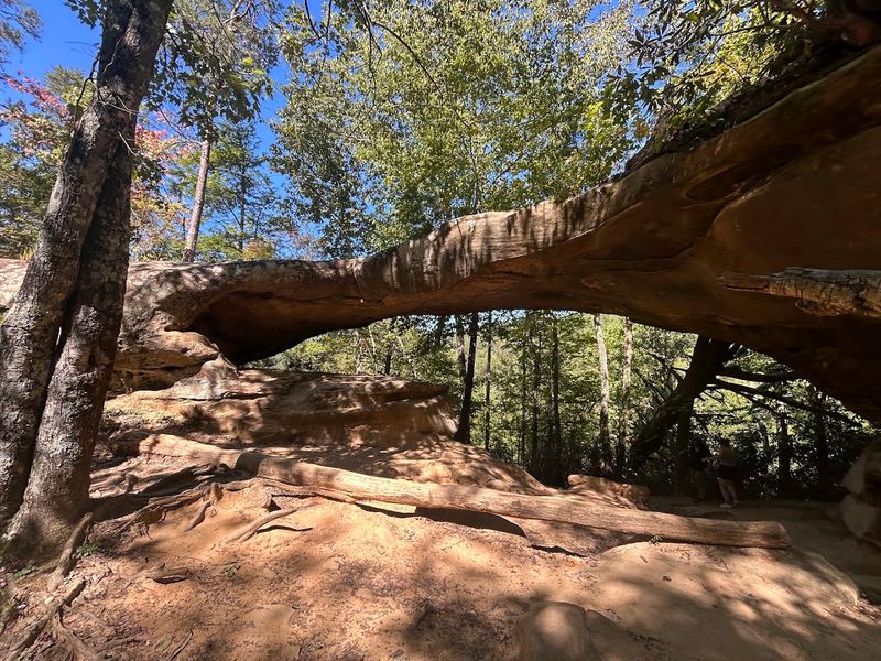 Natural Sandstone Arches That Rival Arches National Park