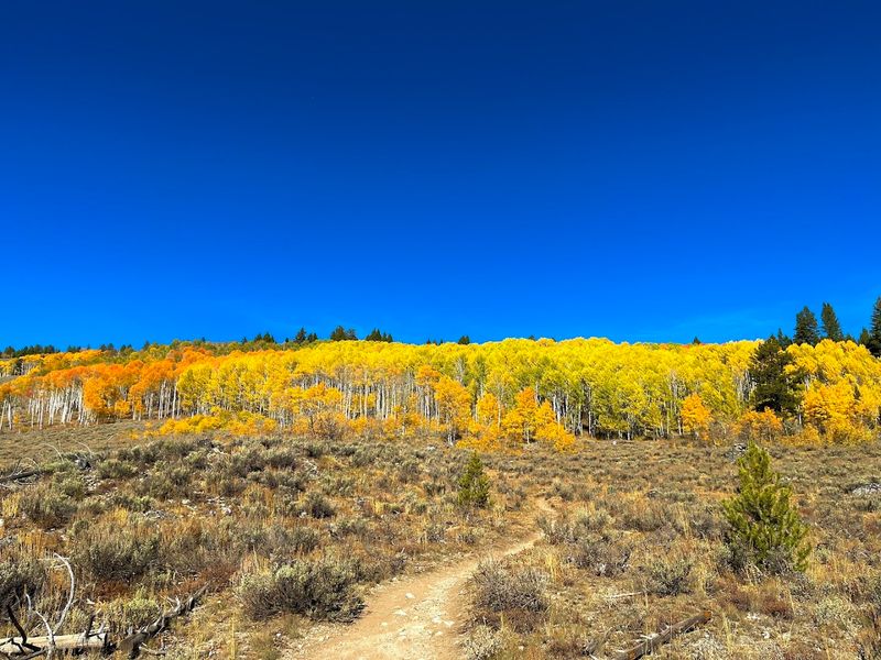 Fishhook Creek Trail