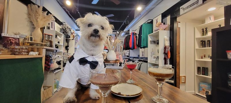 A Dog Café Unlike Anything Else in Louisville