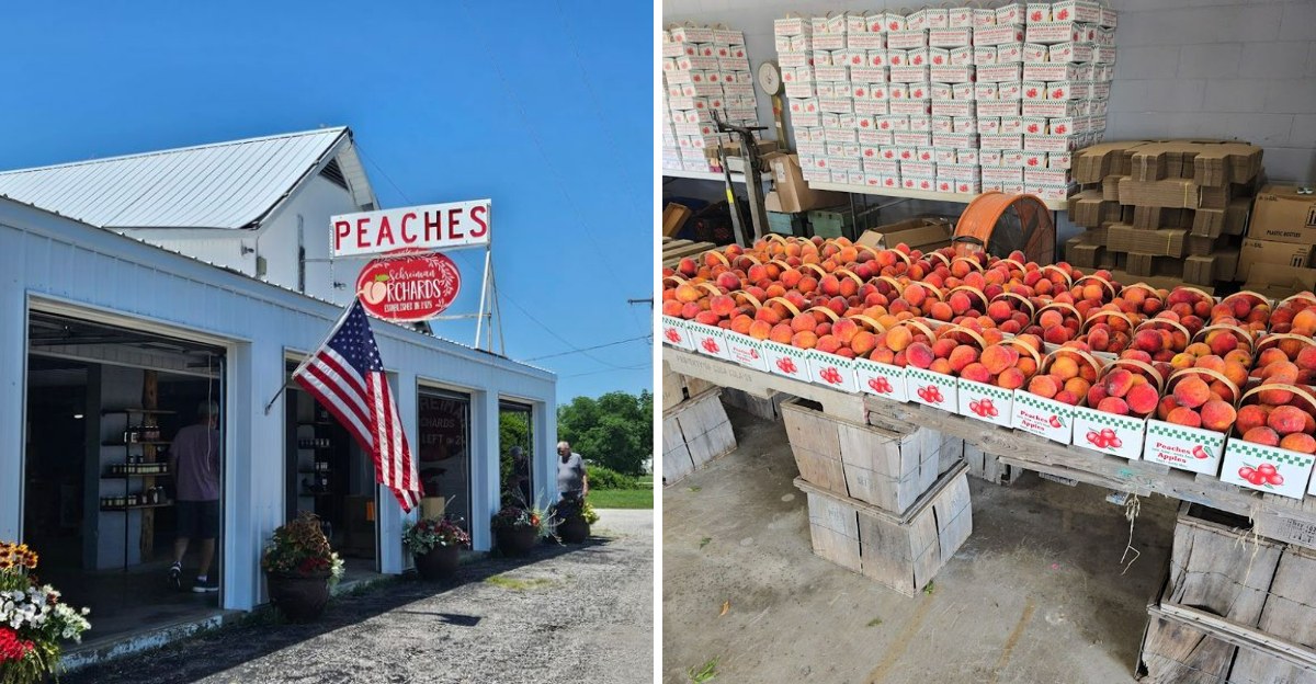This Missouri Roadside Stand Has Peach Ice Cream That Keeps Visitors Coming Back - Decor Hint