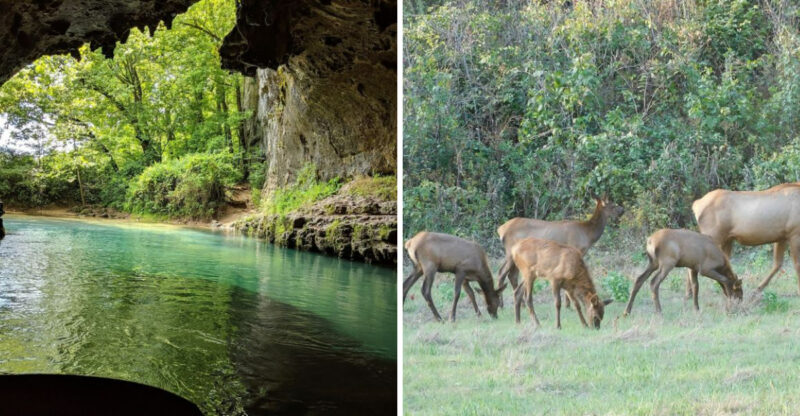 This Missouri Route Offers The Perfect Mix Of Scenery And Small-Town Stops For 2026