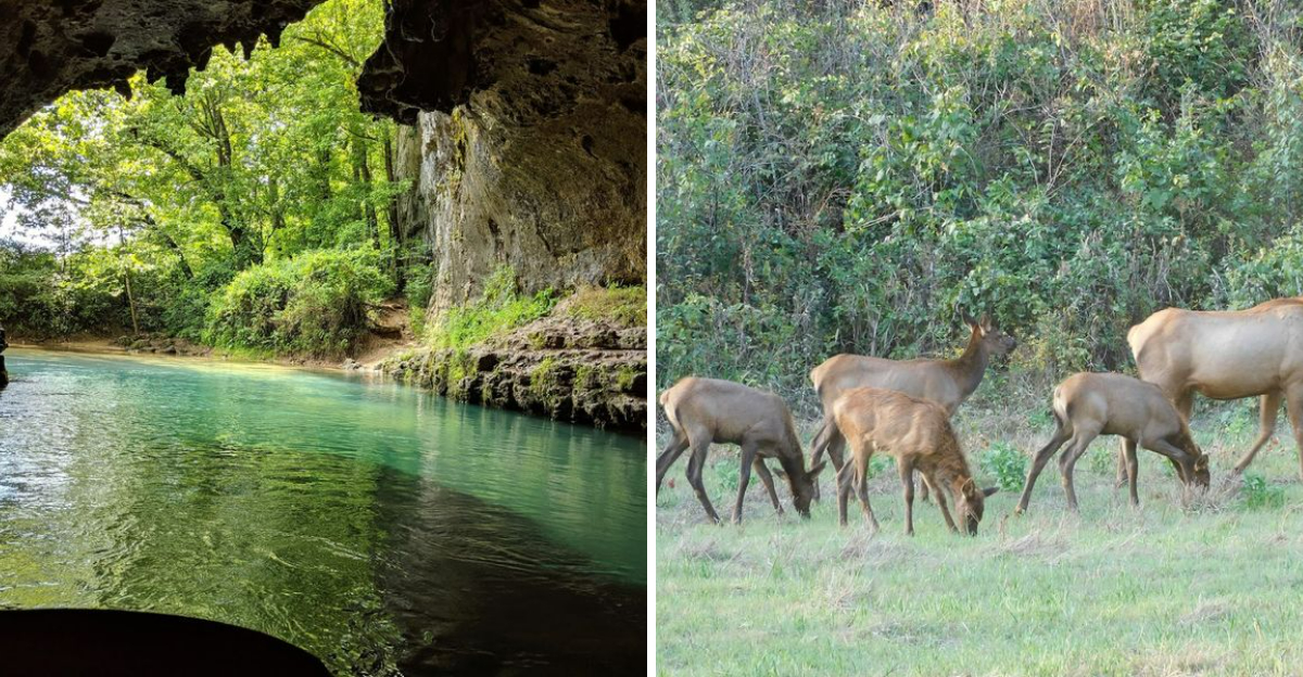 This Missouri Route Offers The Perfect Mix Of Scenery And Small Town Stops For 2026 - Decor Hint