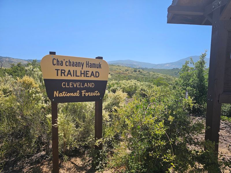 The Trail Layout And What To Expect On The Way Down