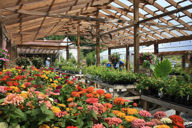 Durham's Garden Center With Day-Trip Energy