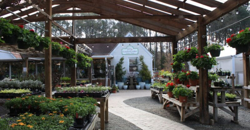 This North Carolina Greenhouse Feels More Like A Groovy Day Trip Than A Quick Plant Run