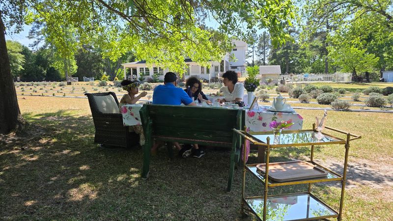 This North Carolina Lavender Farm Serves High Tea Beside The Blooming Fields - Decor Hint High Tea Among The Lavender Fields