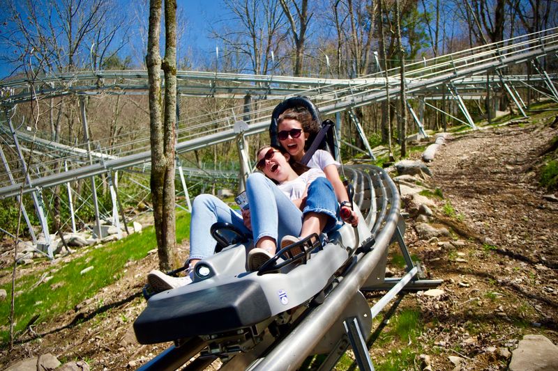 The Alpine Coaster Experience
