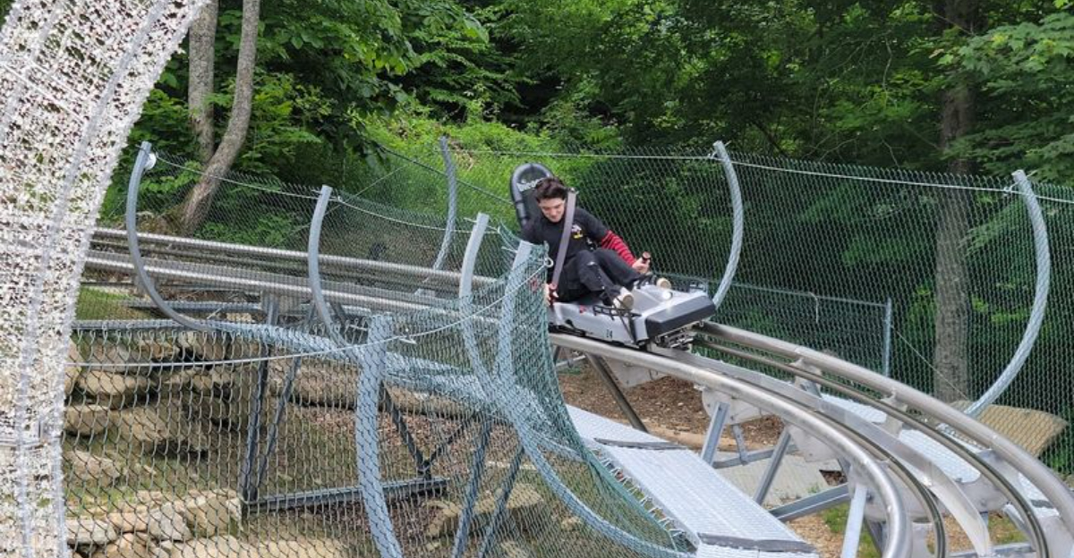 This North Carolina Mountain Coaster Sends Riders Flying Through The Blue Ridge Views - Decor Hint