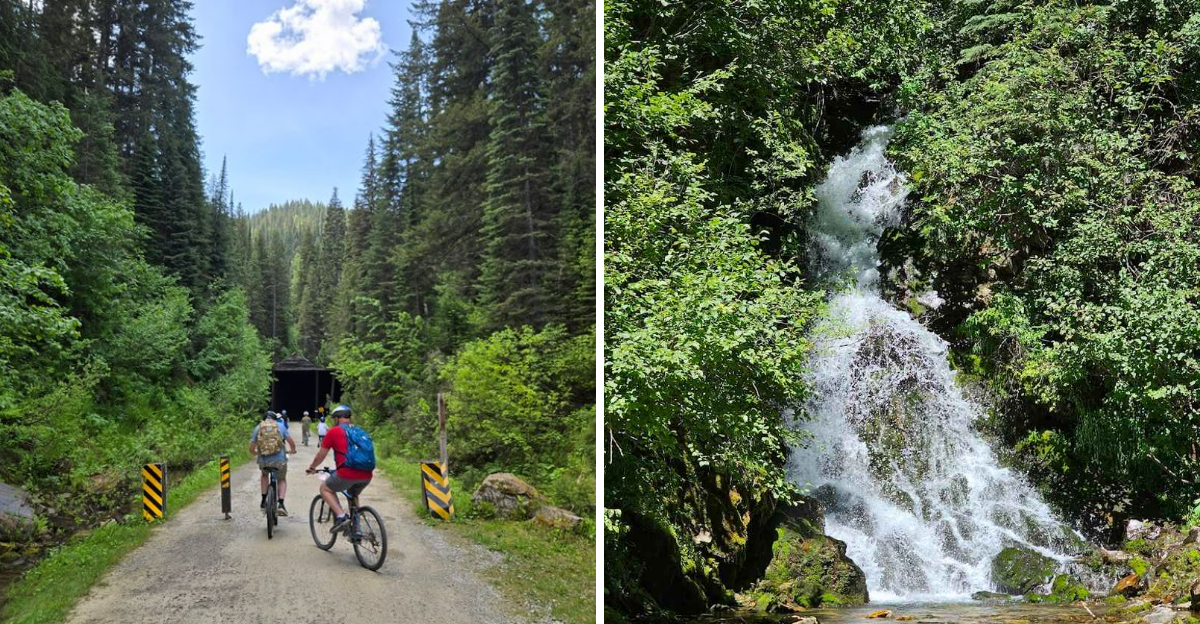 This Northern Idaho Bike Trail Winds Through Mountains And Tall Pine Forests - Decor Hint