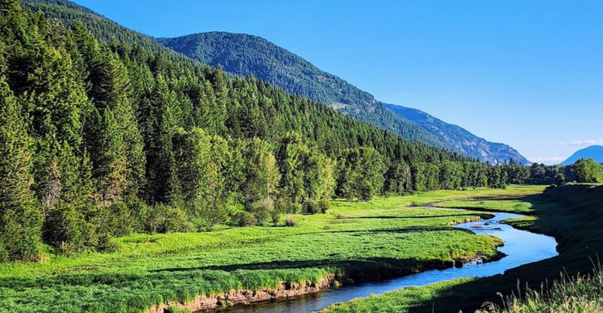 This Northern Idaho River Is So Untamed It Feels Like A Hidden Paradise - Decor Hint