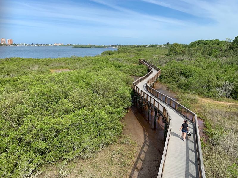 The Winding Wooden Boardwalk