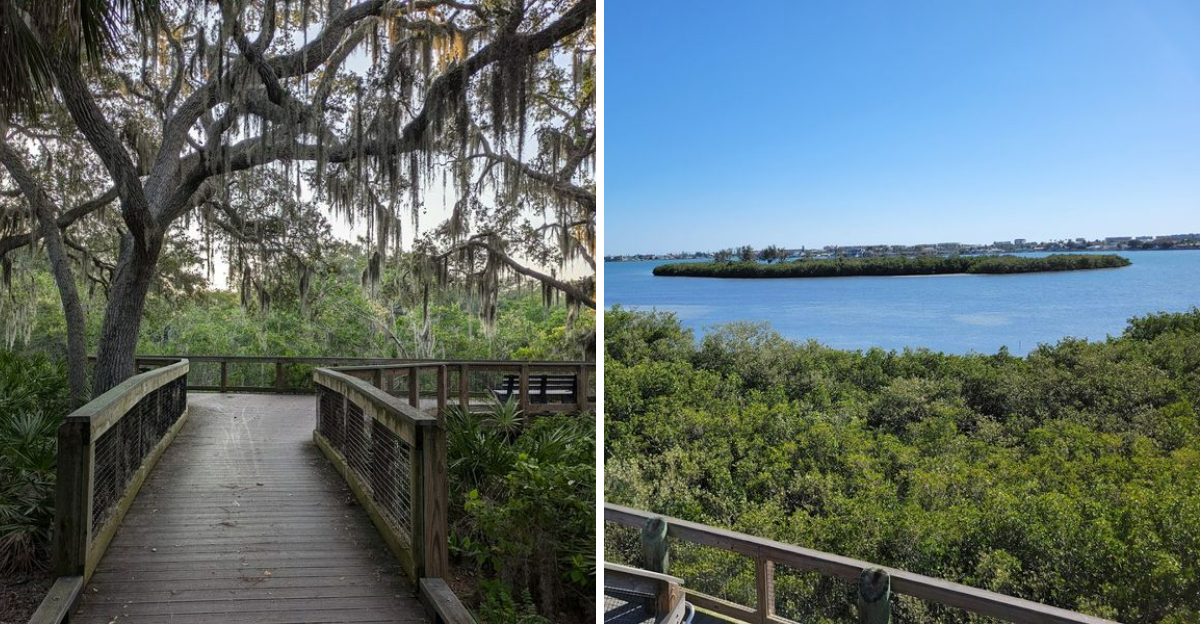 This Peaceful Florida Boardwalk Leads To Some Truly Stunning Coastal Sights - Decor Hint