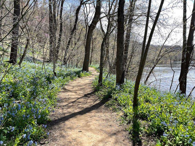 Over 25 Miles Of Trails For Every Type Of Hiker