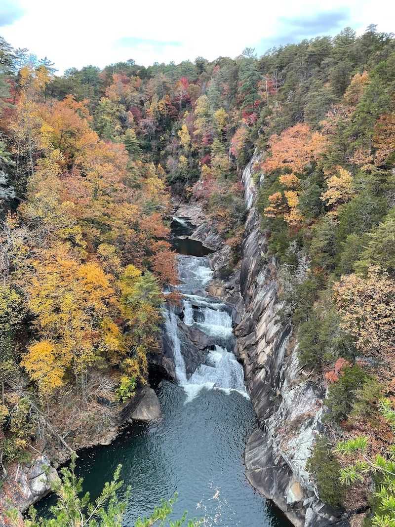 The Jaw-Dropping Gorge Views From The Rim Trails