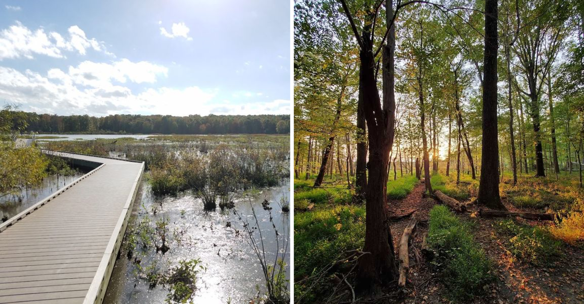 This Quick Virginia Walk Leaves A Lasting Impression On Everyone Who Visits - Decor Hint