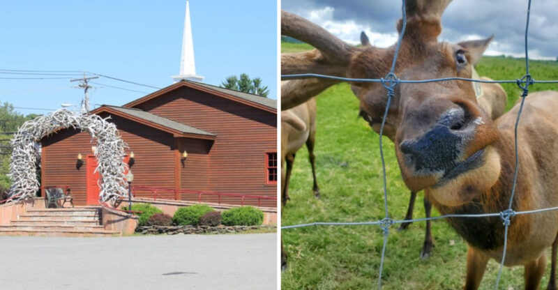 This Quirky Vermont Restaurant Is So Much Fun You’ll Already Be Planning A Return Visit