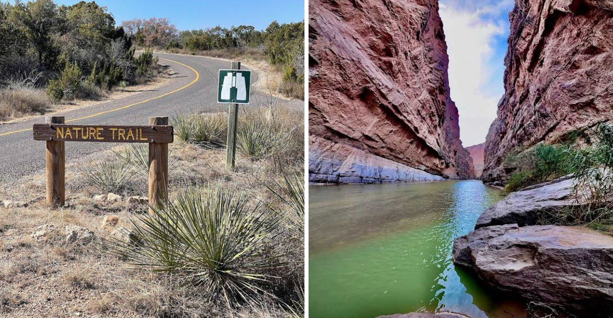 This Relaxing 3 Mile Texas Hike Ends With Views That Feel Absolutely Endless - Decor Hint