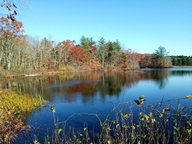 The Trail That Surprises You