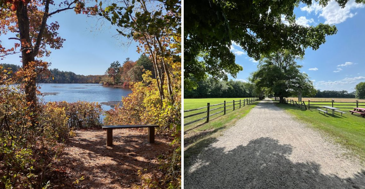 This Scenic 3 Mile Massachusetts Trail Is Worth Every Single Step - Decor Hint