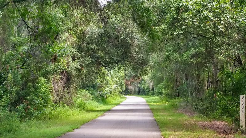 A 46-Mile Paved Adventure Worth Every Pedal