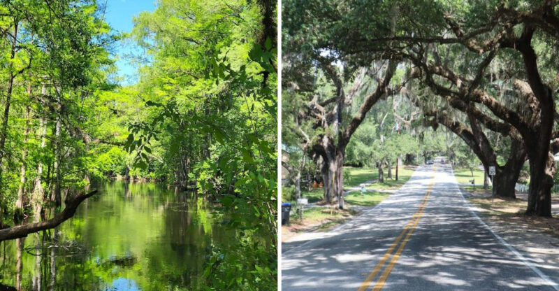 This Scenic Florida Bike Trail Is The Perfect Outdoor Escape For A Sunny May Day