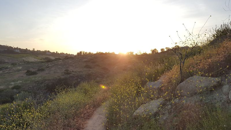Why The Route Feels Bigger Than A Typical Bike Path