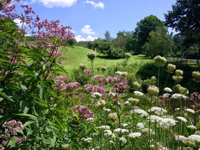 Where This Garden Hides In The Litchfield Hills
