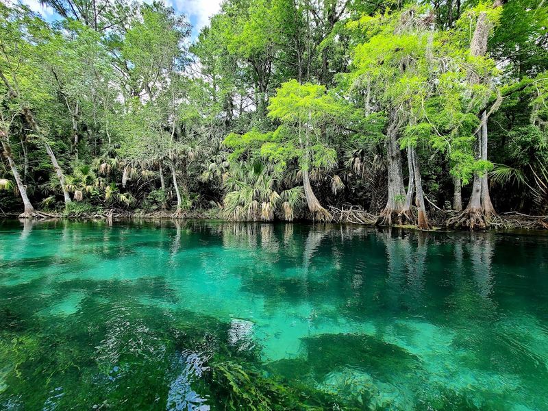 A Spring That Has Been Flowing For Centuries