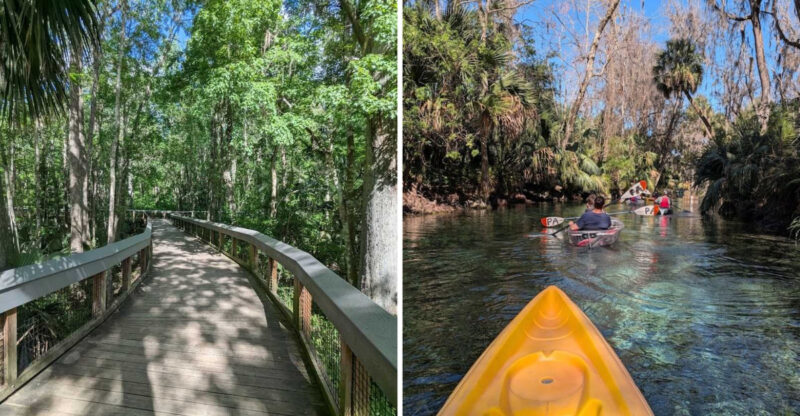 This Stunning Florida Park Is Home To An Incredible Natural Wonder