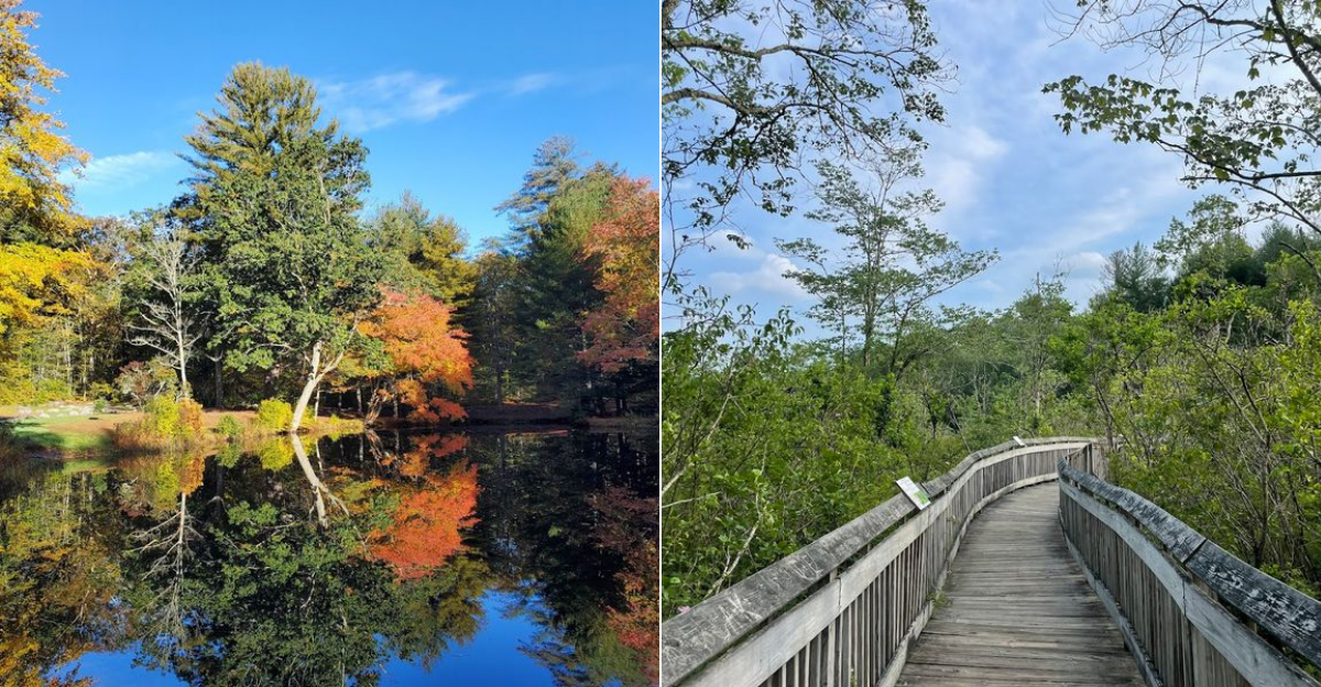 This Stunning State Park In Connecticut Is So Peaceful Youll Forget Your Phone Even - Decor Hint