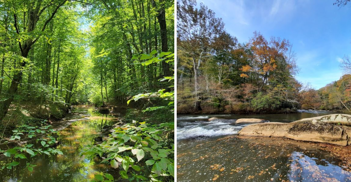 This Stunning State Park In North Carolina Is So Peaceful Youll Forget Your Phone Even - Decor Hint