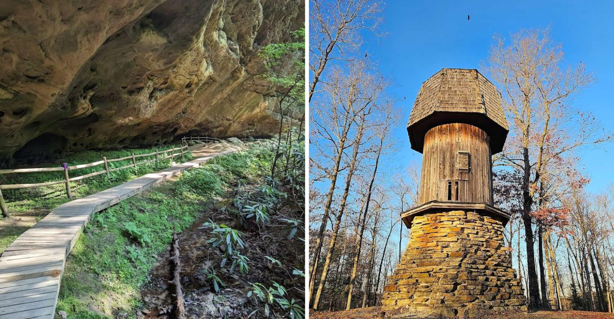 This Tennessee State Park Quietly Delivers One Of The Most Memorable Experiences Around - Decor Hint