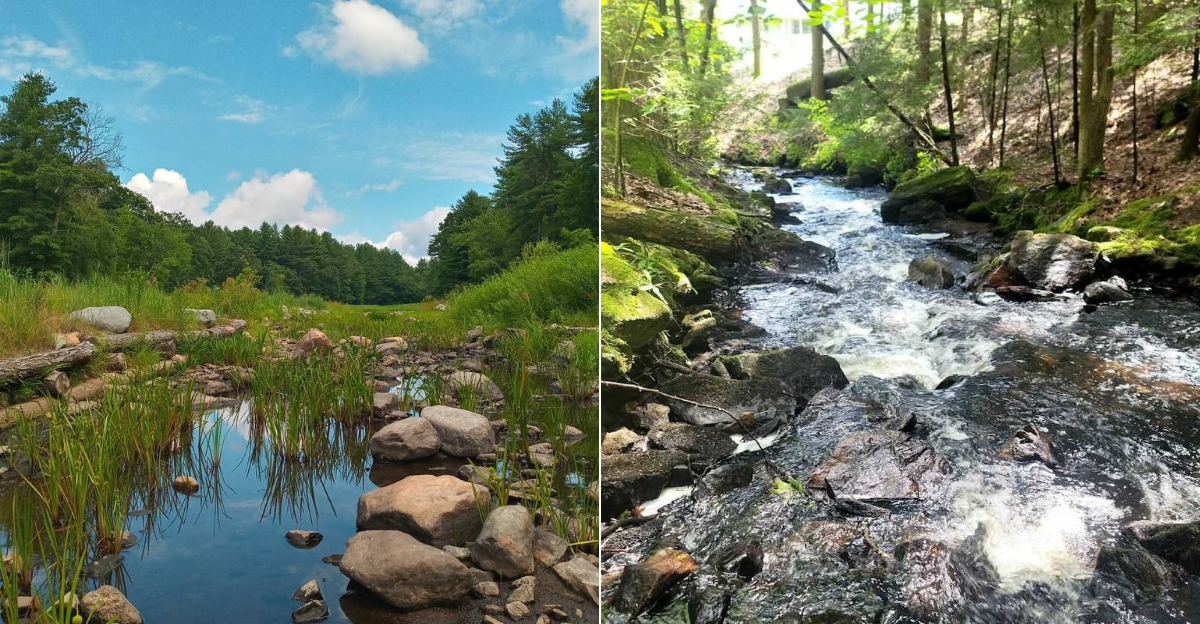 This Untouched State Park In Connecticut Is The Peaceful Escape You Need - Decor Hint