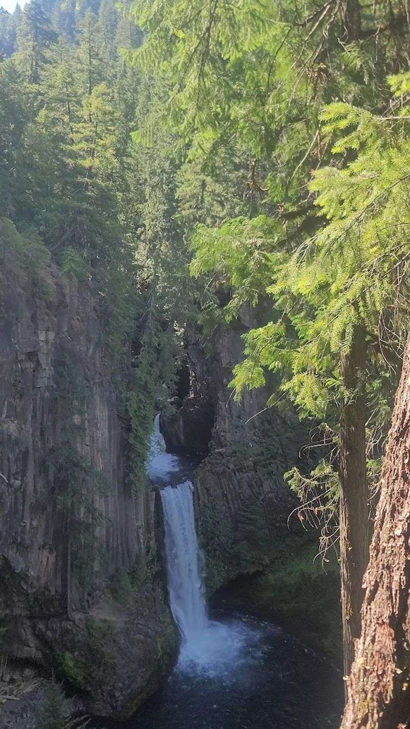 10 Unexpected Places In Oregon That Are Almost Too Gorgeous To Believe - Decor Hint Toketee Falls, Umpqua National Forest