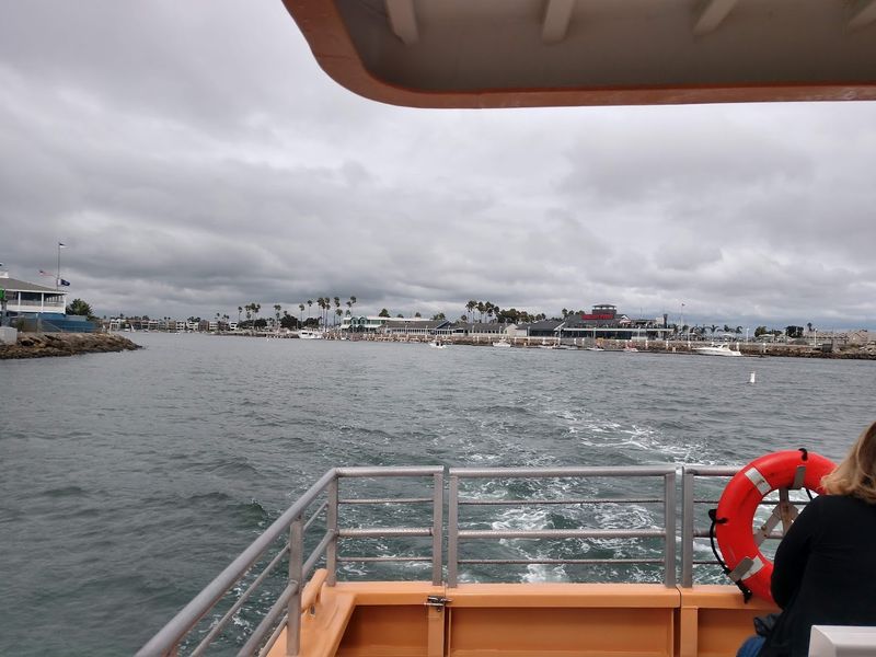The Ride Feels More Like A Mini Harbor Cruise