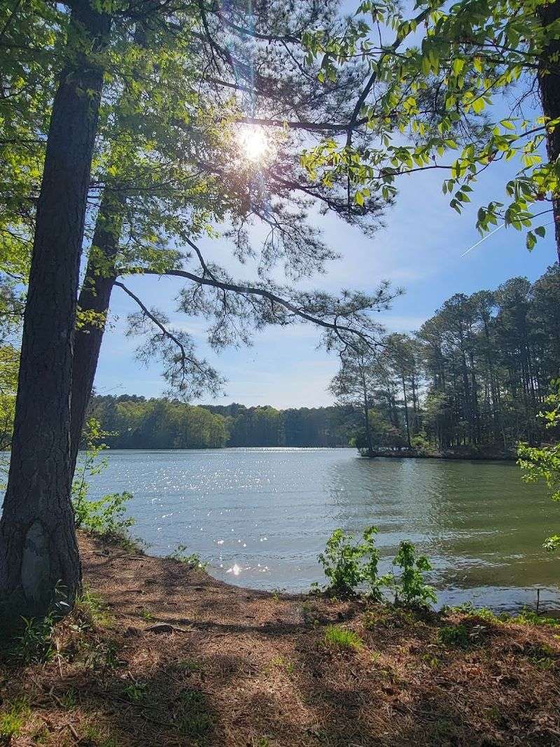 Trails That Reward Every Pace
