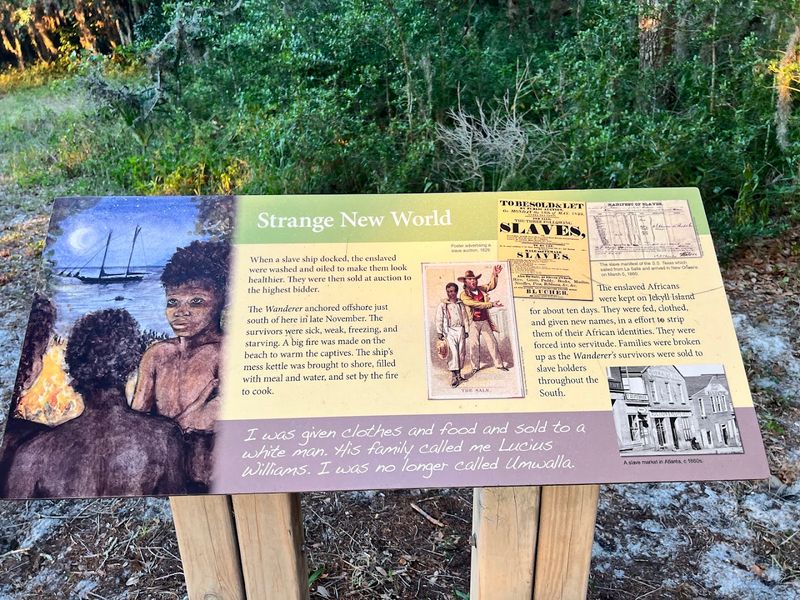 The Historic Wanderer Trail And Two-Story Observation Tower