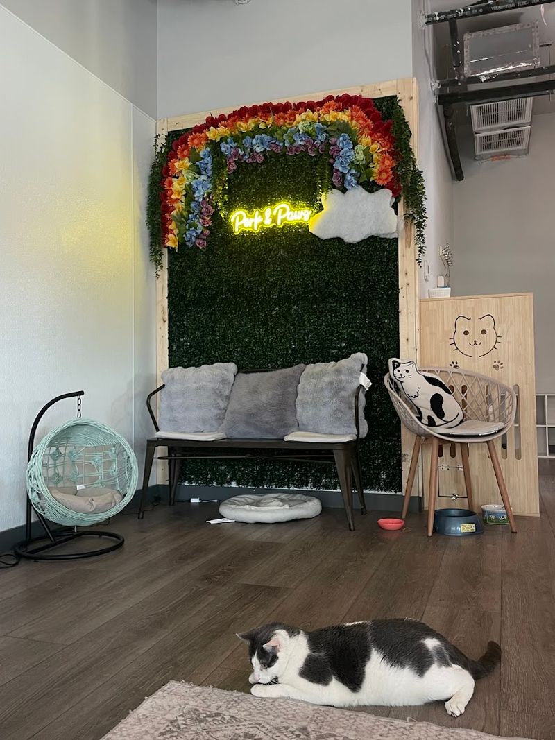 A Feel-Good Visit For Animal Lovers