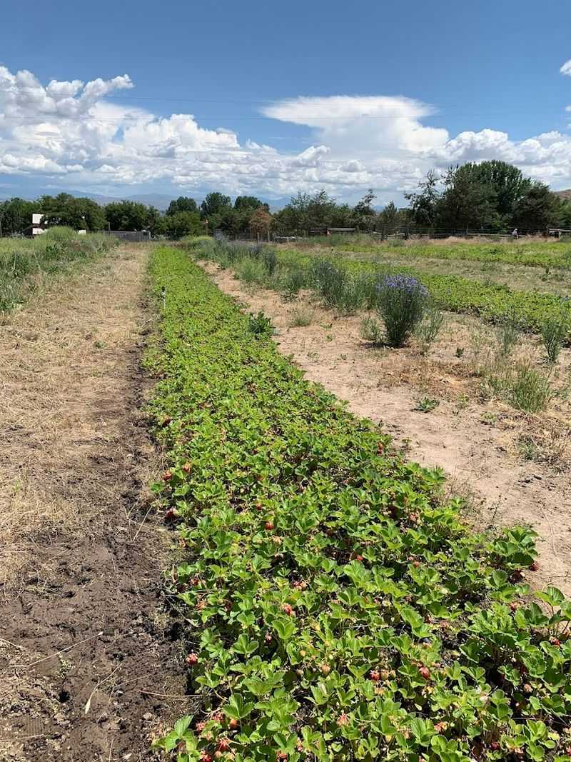 Why Supporting This Farm Matters