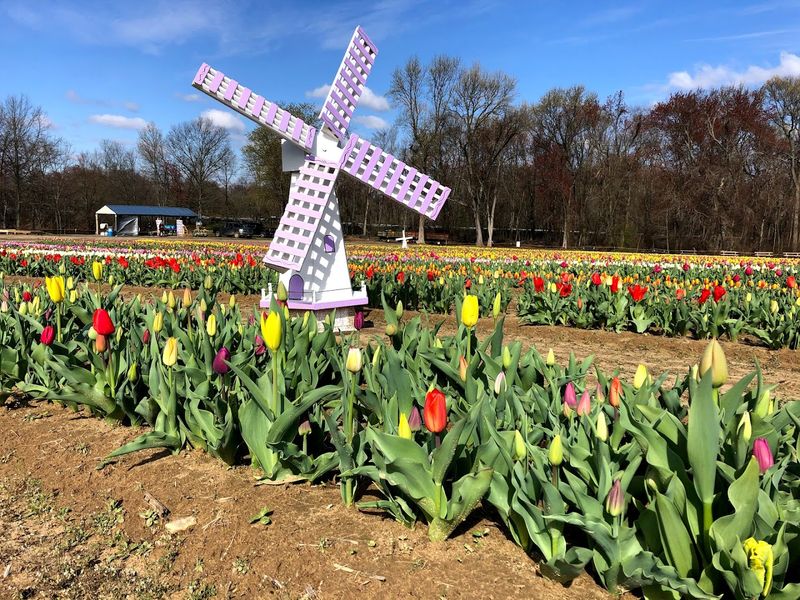 Why This Farm Keeps Drawing Crowds