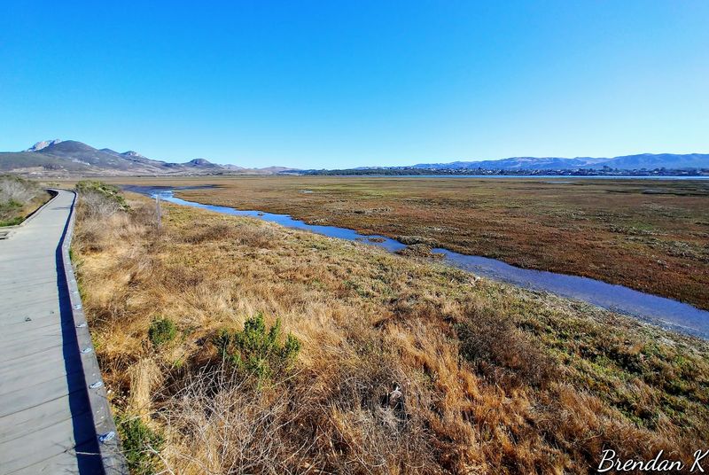14 California Scenic Walks That Do Not Take Long But Still Deliver Big Views - Decor Hint Morro Rock Beach Boardwalk, Morro Bay