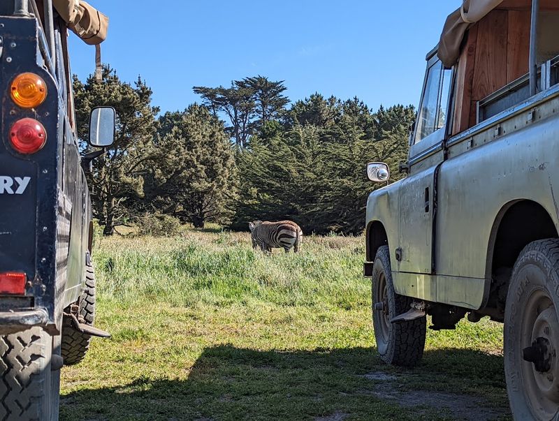 The Self-Guided Car Safari Offers A More Relaxed Pace