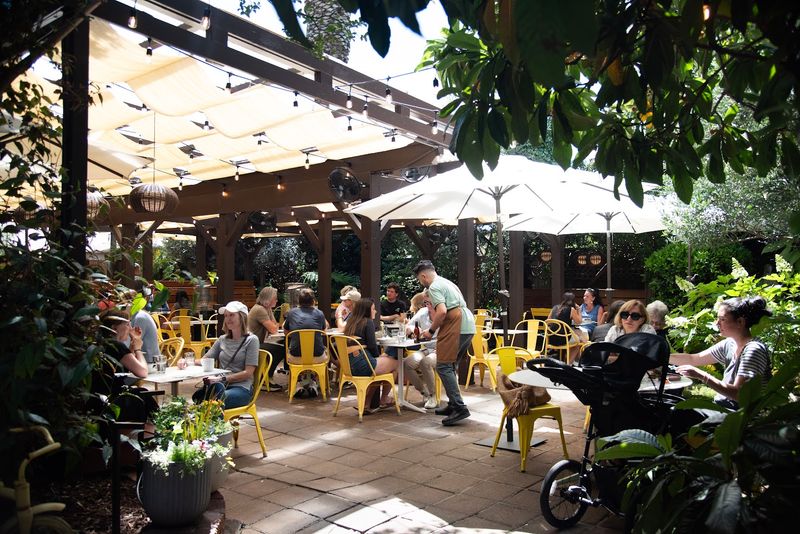 Sunflower Caffé, Sonoma