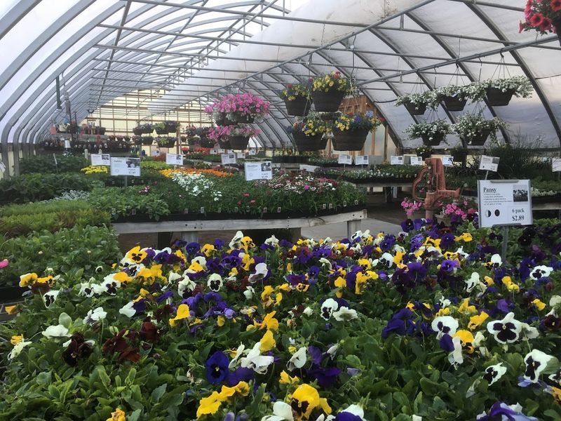 Sunnyside Gardens
