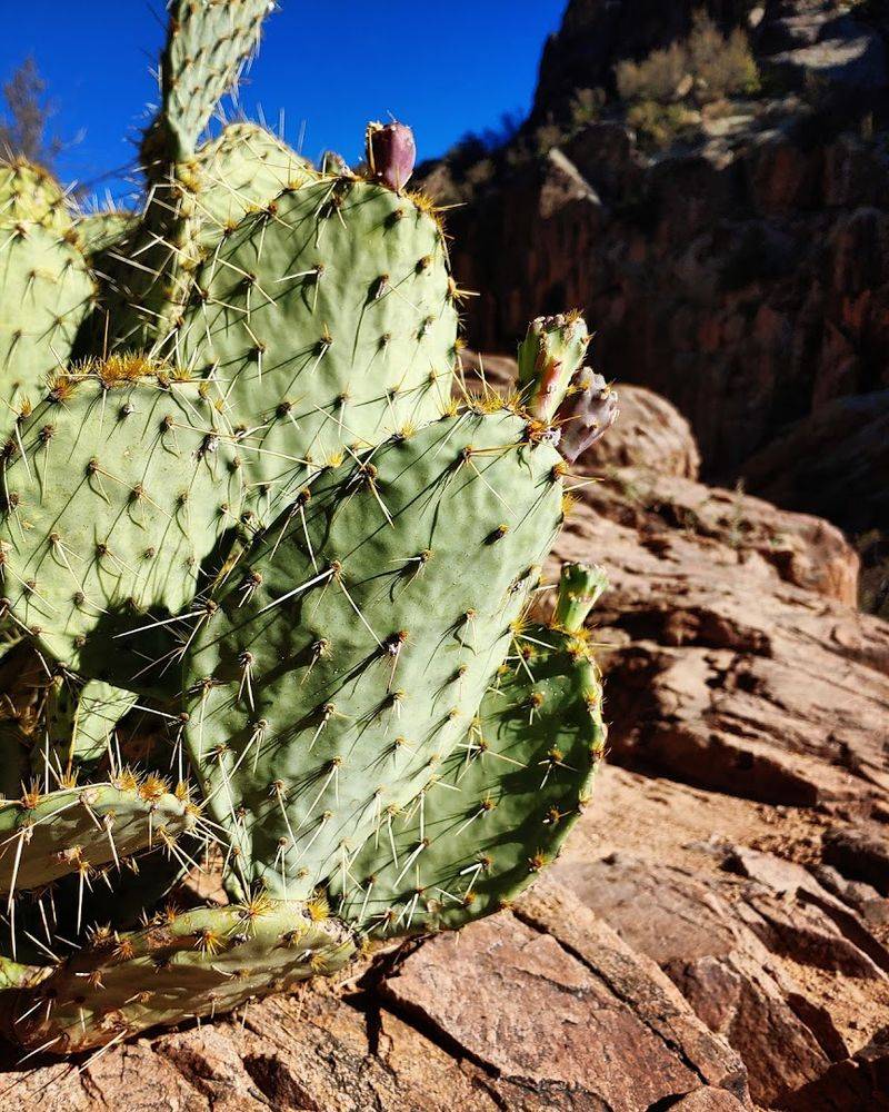 This Easy Arizona Trail Leads To A Stunning Waterfall That Feels Almost Unreal - Decor Hint The Best Time To Visit