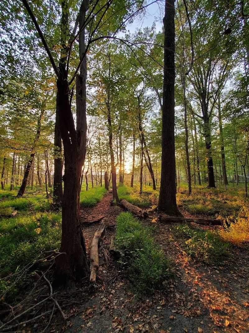 Why This Short Walk Stays With You
