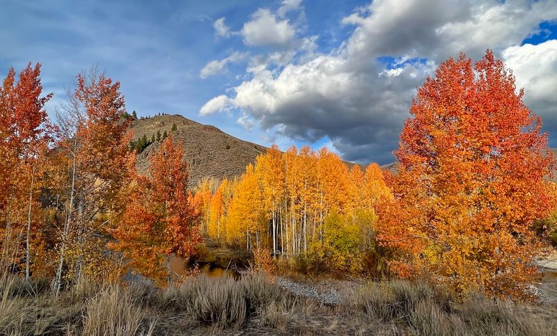 This Idaho Trailhead Leads To A Mountain Escape With Big Views And Almost No Fuss - Decor Hint Creekside Scenery Along The Way